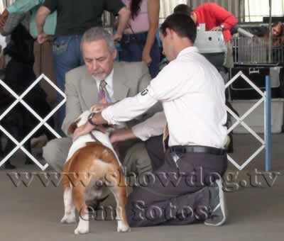 Clique sobre a foto para fechar